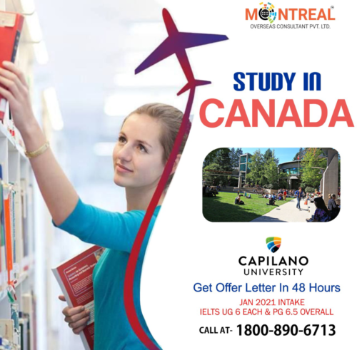 Screenshot_20201010-221447~2